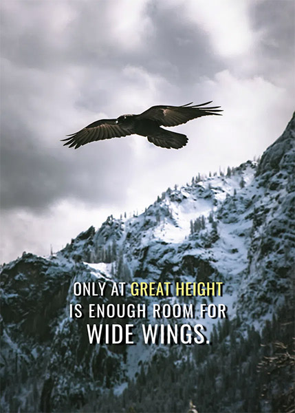 Wide Wings Animal Motivational Poster (copy)