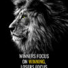 Winners Focus On Winning Animal Motivational Poster