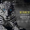 Winners Never Quit Animal Motivational Poster