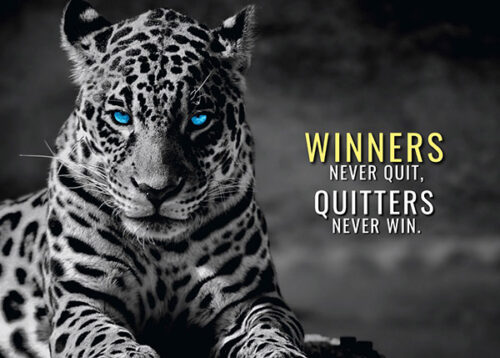 Winners Never Quit Animal Motivational Poster