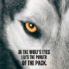 Wolf Pack Animal Motivational Poster