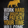 Work Hard Stay Disciplined Be Patient Success Poster