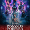 Black Panther Wakanda Forever 2022 Movie Poster