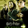 Harry Potter And The Deathly Hallows Part 1 2010 Poster