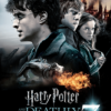 Harry Potter And The Deathly Hallows Part 2 2011 Poster