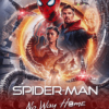 Spider Man No Way Home 2021 Poster