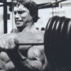 Arnold Schwarzenegger Gym Poster