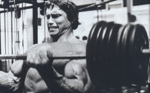 Arnold Schwarzenegger Gym Poster