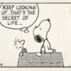 Peanuts - Keep Looking Up Poster