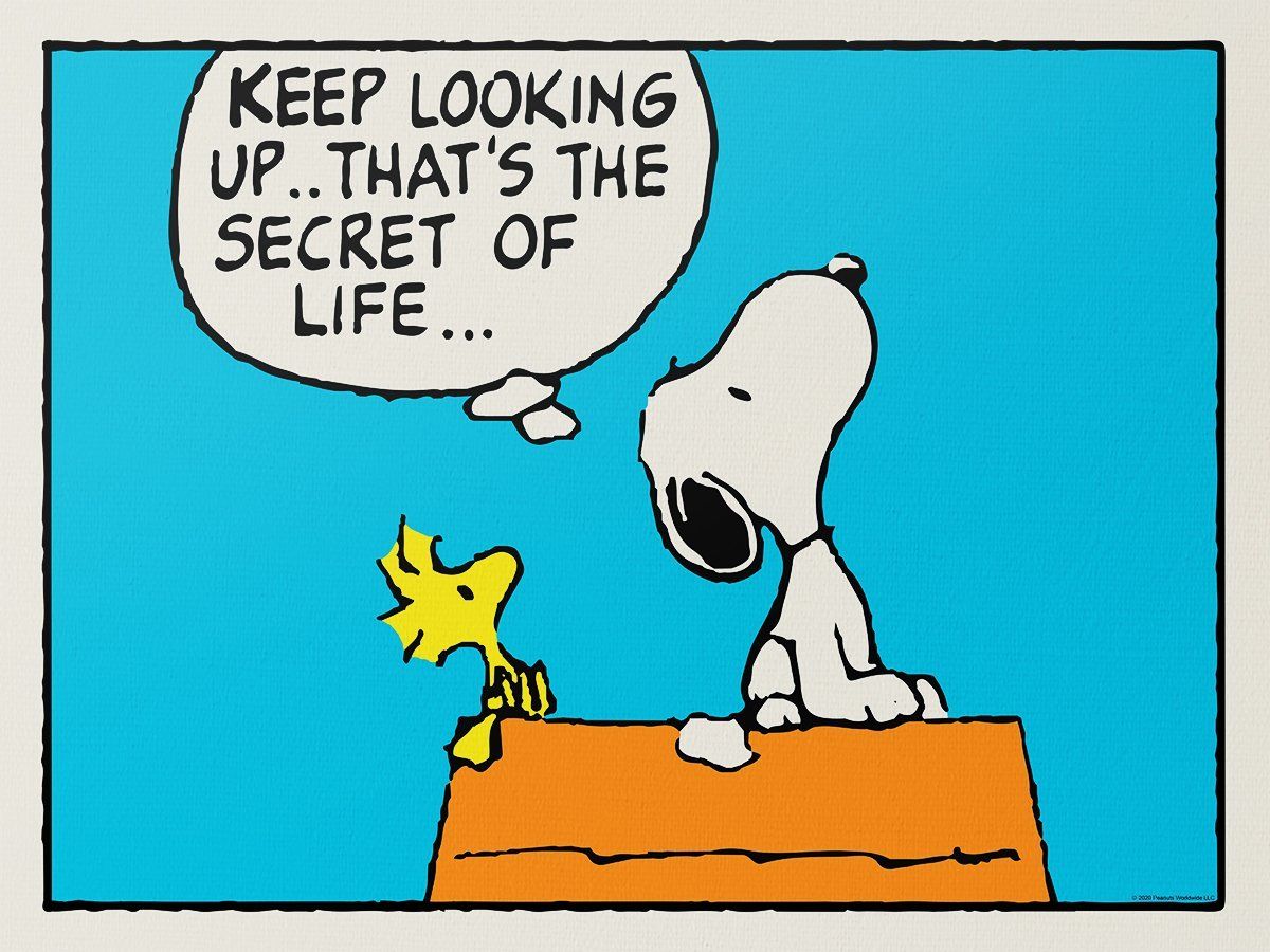 Peanuts - Keep Looking Up Poster