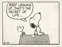 Peanuts - Keep Looking Up Poster