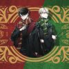 Harry Potter Gryffindor vs. Slytherin Poster