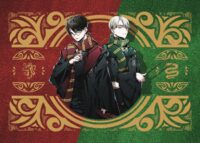 Harry Potter Gryffindor vs. Slytherin Poster