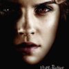 Harry Potter Hermione Portrait Poster