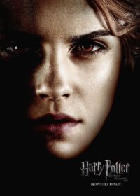 Harry Potter Hermione Portrait Poster