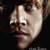 Harry Potter Ron Portrait Poster