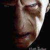 Harry Potter Voldemort Portrait Poster