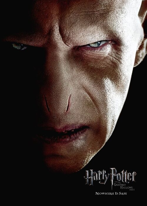 Harry Potter Voldemort Portrait Poster