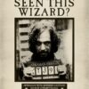 Have you seen this wizard Harry Potter Poster