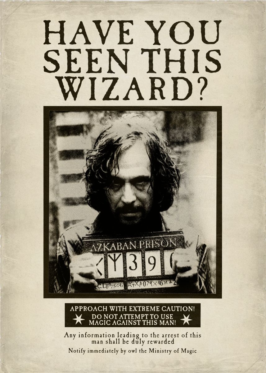 Have you seen this wizard Harry Potter Poster