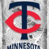 Minnesota Twins Major Basketball League City Maps Crests Poster