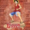 Monkey D. Luffy One Piece Poster