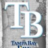 Tampa Bay Rays Major Basketball League City Maps Crests Poster