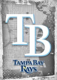 Tampa Bay Rays Major Basketball League City Maps Crests Poster