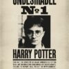 Undesirable No 1 Harry Potter Poster