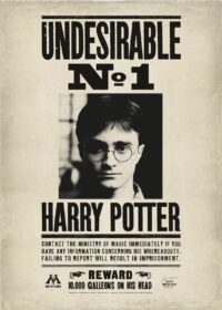 Undesirable No 1 Harry Potter Poster