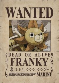 Wanted Franky One Piece Poster