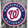 Washington Nationals Major Basketball League City Maps Crests Poster