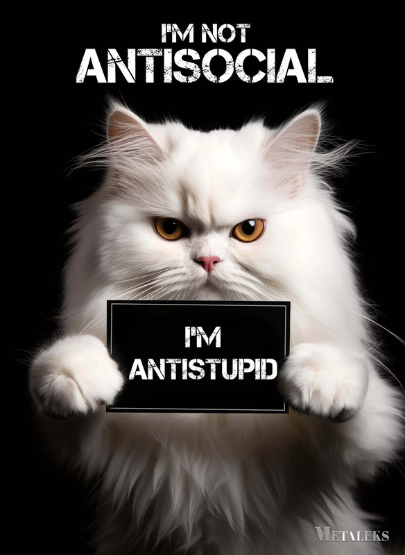 Antisocial Cute Cat Poster