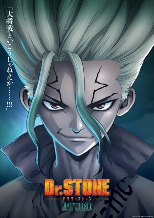 Dr Stone New World Anime & Manga Poster