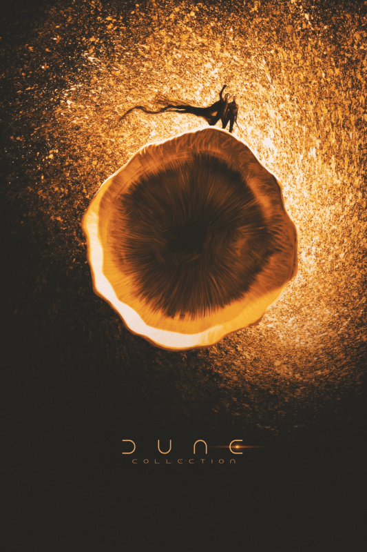 Dune Collection Movie Poster