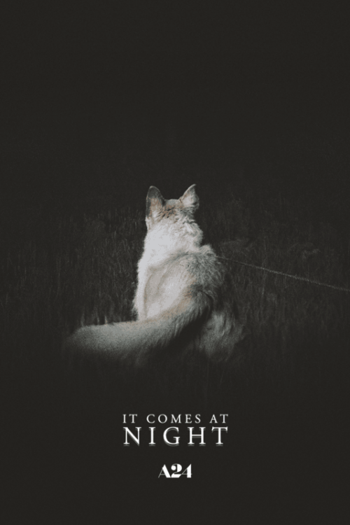 It Comes At Night 2017 Movie Poster