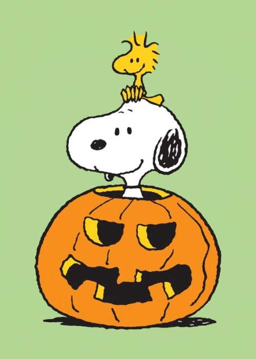 Snoopy Pumpkin Peanuts Poster