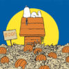 Snoopy Pumpkin Field Peanuts Poster