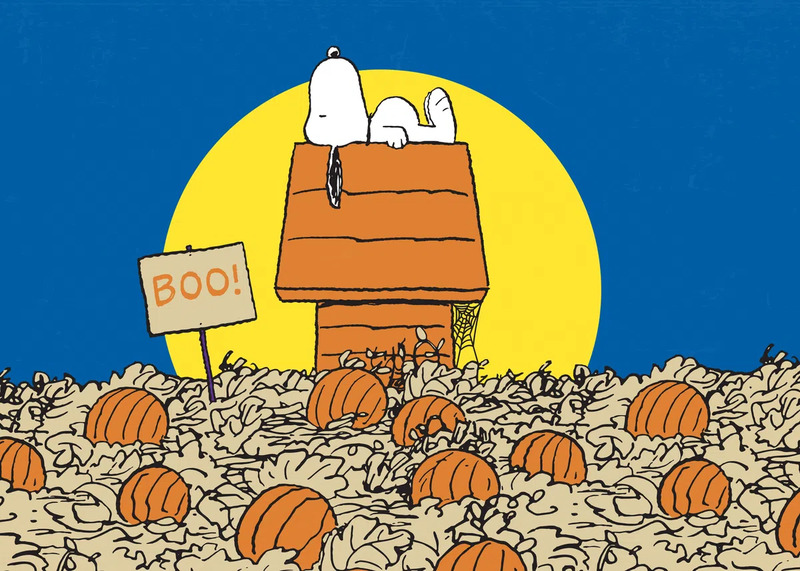 Snoopy Pumpkin Field Peanuts Poster