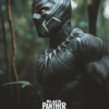 Black Panther Collection Movie Poster