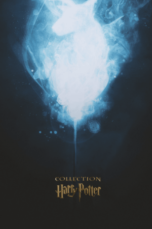 Harry Potter Collection Movie Poster