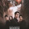 Maze Runner The Scorch Trials 2015 Movie Poster