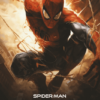 Spider Man MCU Collection Movie Poster