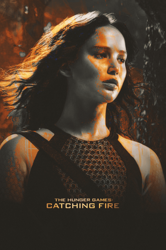 The Hunger Games Catching Fire 2013 Movie Poster