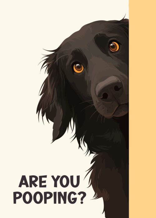 Are you pooping flattie poster
