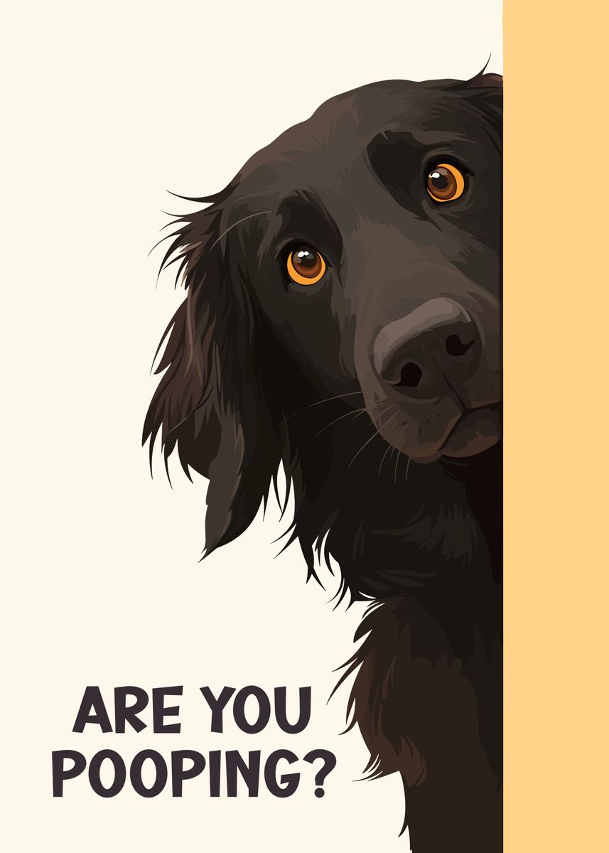 Are You Pooping Flattie Poster