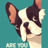 Funny French Bulldog Poster