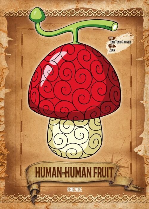 Human human devil fruit one piece anime & manga poster