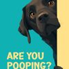 Labrador Are You Pooping Poster