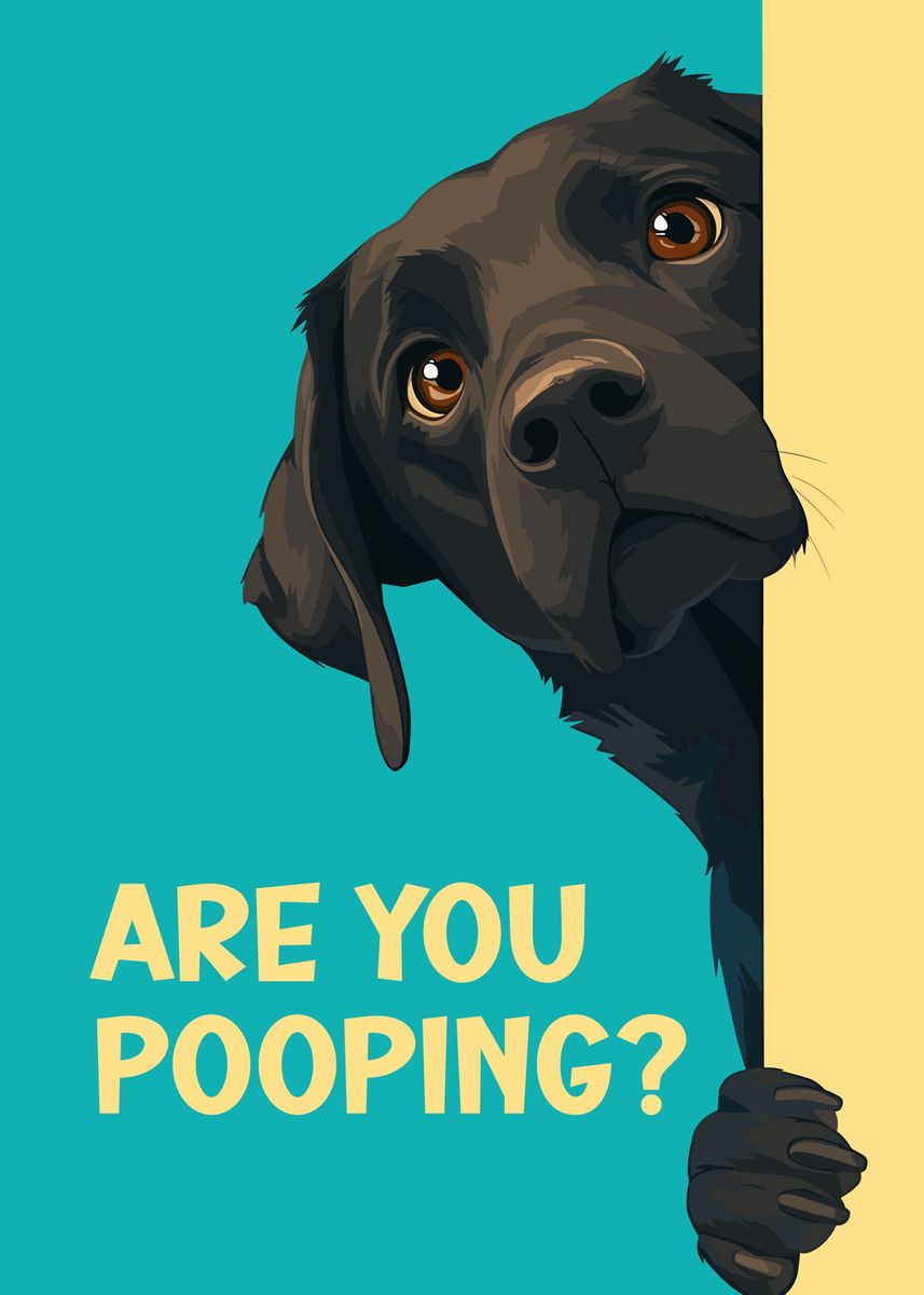 Labrador Are You Pooping Poster